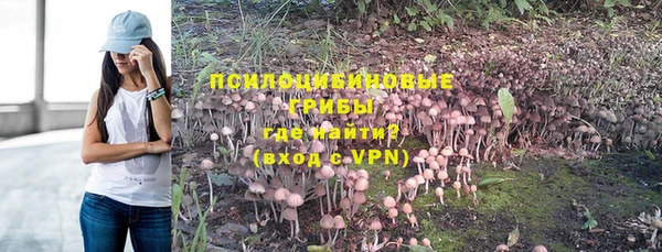 гашик Беломорск
