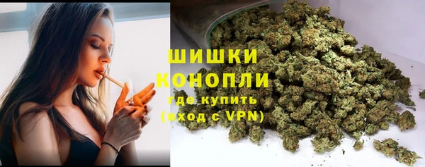 гашик Белоозёрский