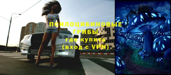 прущий лед Белокуриха