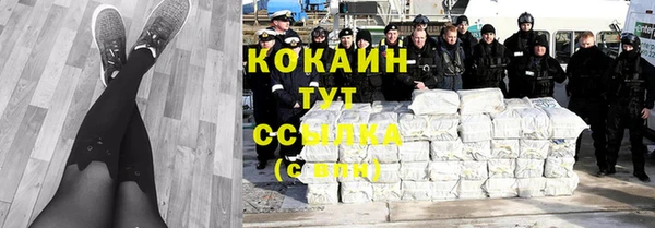 гашик Белоозёрский